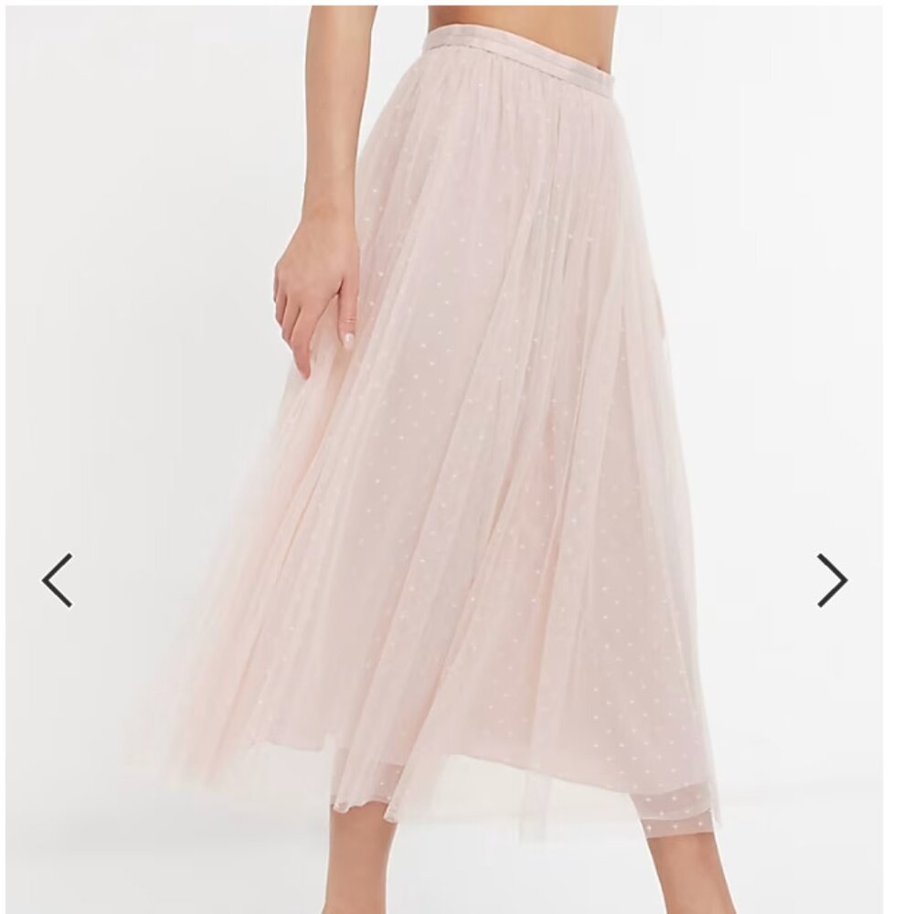 Needle & Thread embroidered midi tulle skirt blush floral size 4 nwot